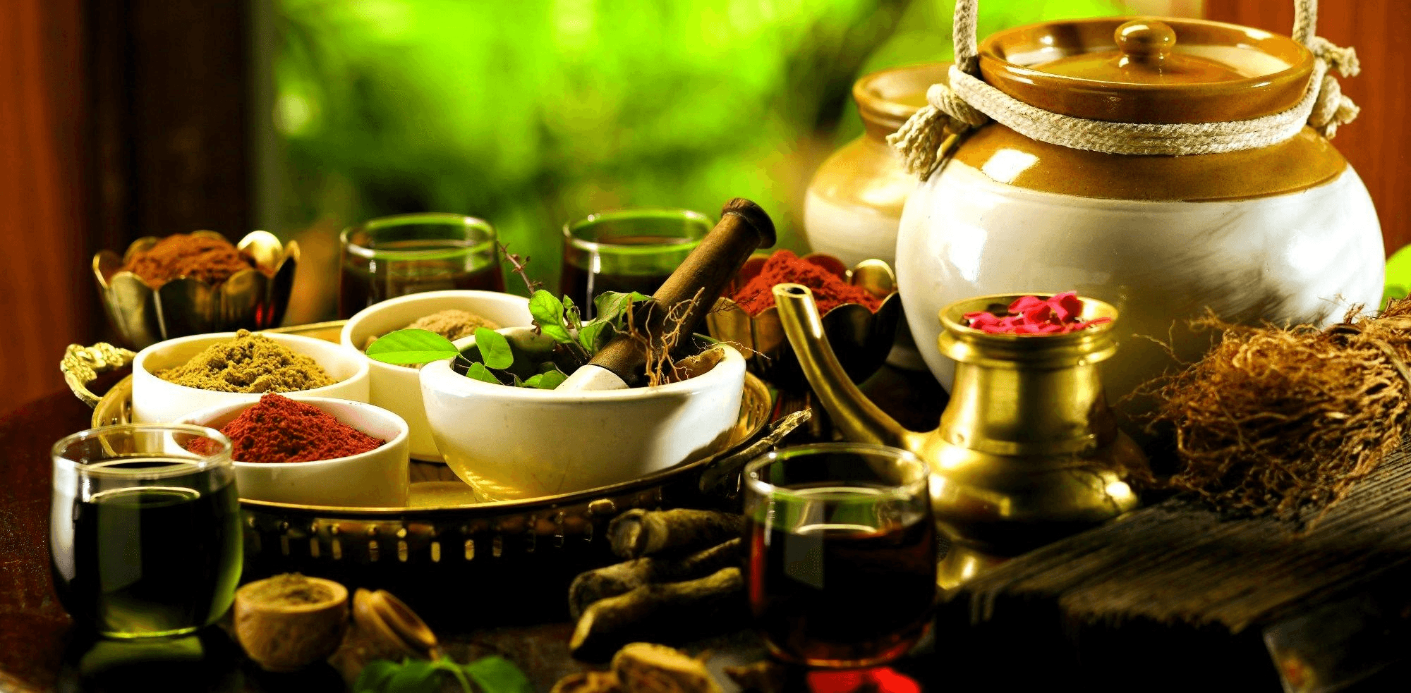 Traditional Ayurvedic herbs and preparations